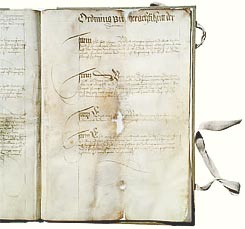 Offnung Dielsdorf, 1556 - 1562 verfasst