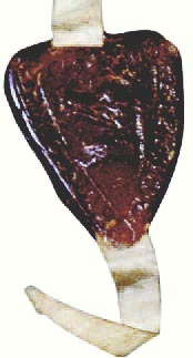 KAufurkunde Siegel Rümlang, 1291